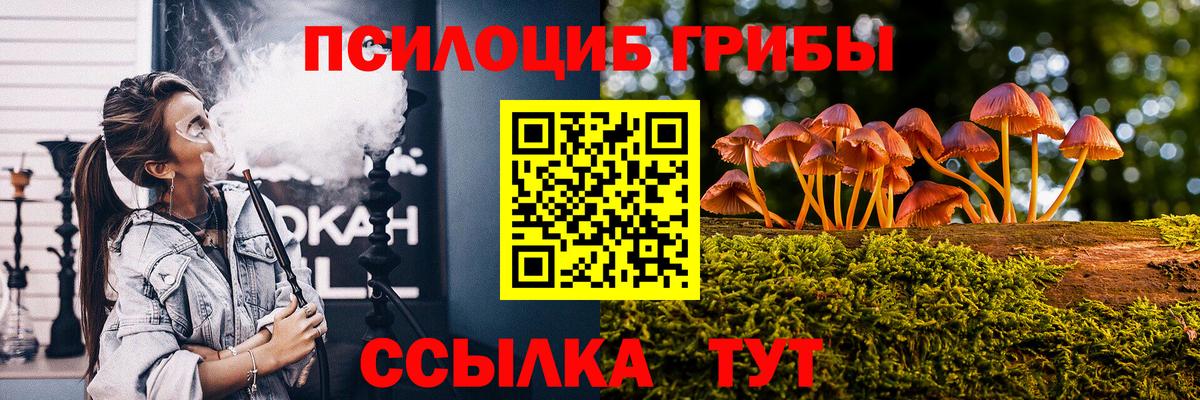 Псилоцибиновые грибы мицелий Черкесск