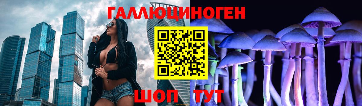 цена   Псилоцибиновые грибы MAGIC MUSHROOMS  Вход с VPN  Черкесск 